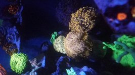 20161017_184309.jpg