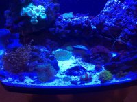 IMG_5186.jpg