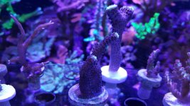 20160814_151219.jpg