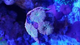 20161206_135542.jpg
