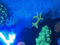 IMG_0997.JPG.jpg