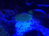 IMG_5187.jpg
