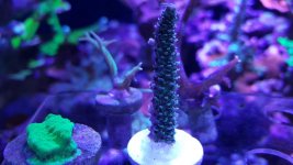 20160814_151226.jpg