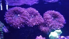 20170829_145605.jpg