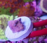 IMG_20170829_164757.jpg