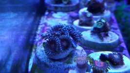 20160814_151743.jpg