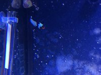 IMG_5191.jpg