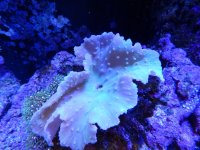 DSCN6029.jpg