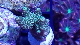 IMG_20171128_163217.jpg