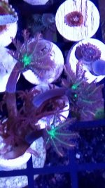 IMG_20171128_163416.jpg