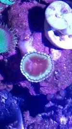 IMG_20171128_163436.jpg
