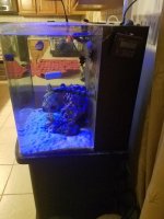 Tank2.jpg