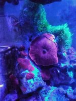 20170328_204349-01.jpg