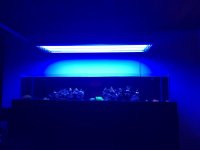 IMG_0721.jpg