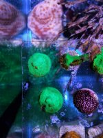 20170328_205812-01.jpg