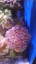 20160429_173547.jpg