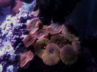 20170328_204237-01.jpg