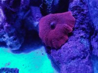 20170328_204259-01.jpg