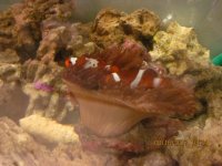 IMG_3007.jpg