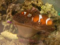 IMG_3006.jpg