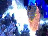 IMG_2823.jpg