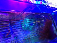 IMG_0983.jpg