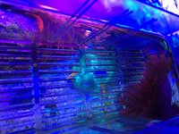 IMG_0984.jpg