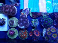20170402_194731.jpg