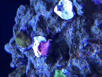 IMG_9682.jpg