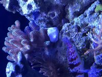 IMG_9681.jpg