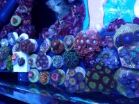 20170402_194751.jpg