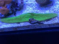 IMG_9677.jpg