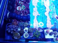 20170402_171532.jpg
