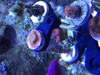 IMG_9674.jpg