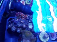 20170402_171436.jpg