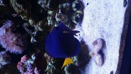 20160815_183455.jpg
