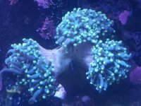 20170831_095908.jpg