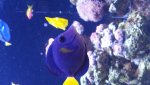 20160815_185002.jpg