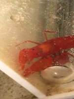 IMG_0241.jpg