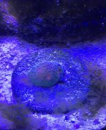 IMG_1747.jpg