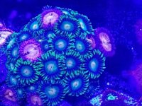 20170830_184321.jpg