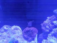 IMG_20170226_164814.jpg