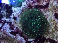 IMG_3967.jpg