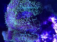 B4ADE2C9-F275-4CC1-AC46-512BE63F8F91.jpg