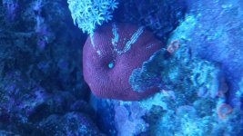 20160816_200437.jpg