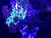 E37DA071-D41D-4E9A-9663-BC03AFE3DBA1.jpg
