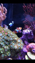IMG_4202.jpg