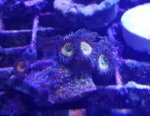 20170831_234405.jpg