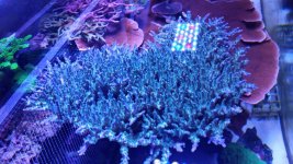 20161223_142119.jpg