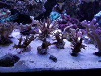20171130_201302.jpg